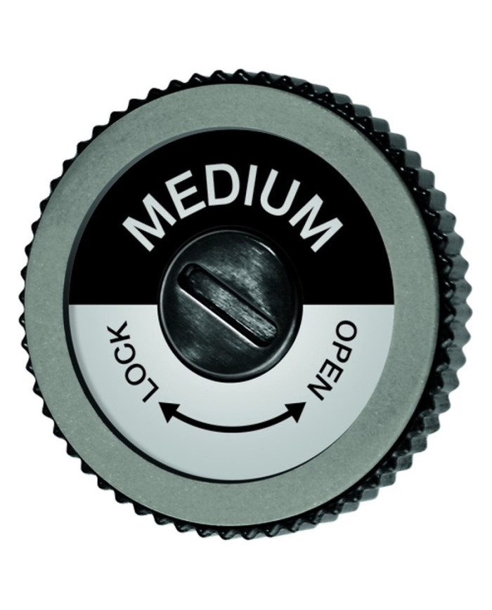 SWIX Diamond Disc Medium