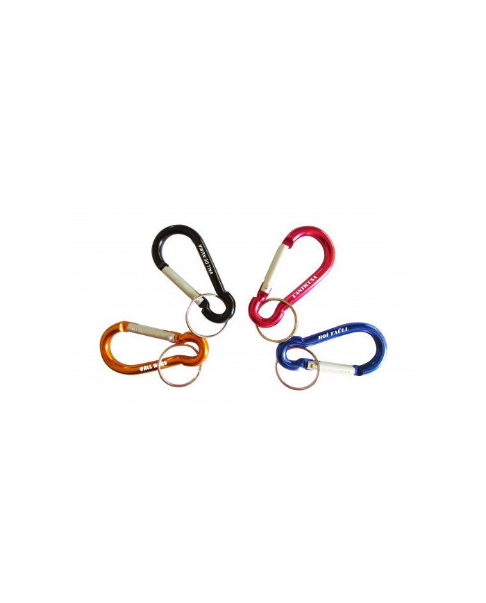 Carabiner Keychain