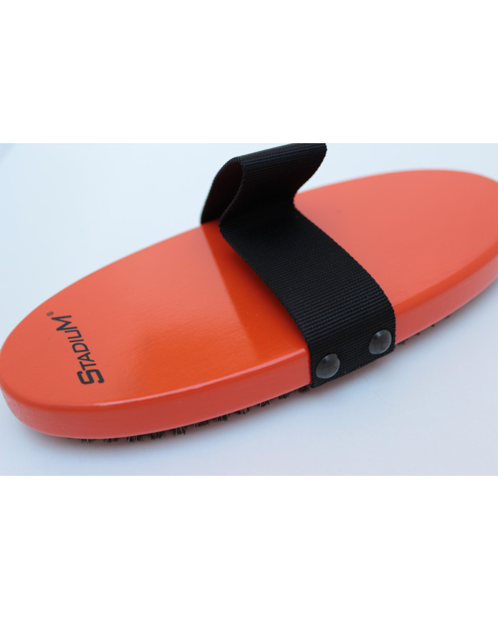 Brosse ovale crin de cheval STADIUM